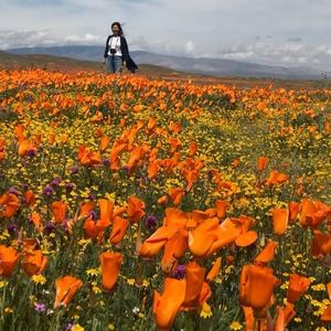 Meet your Posher, Hitomi